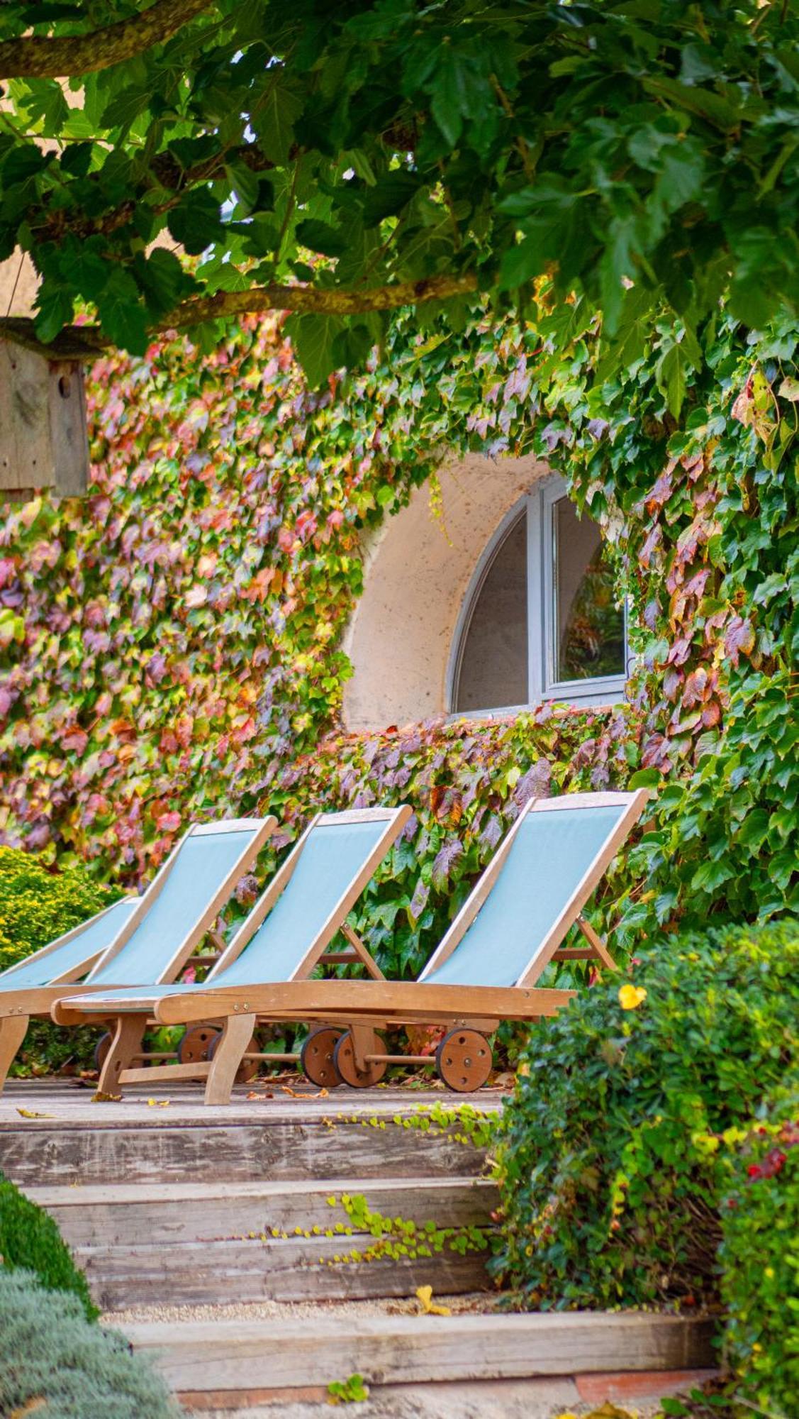 Propriete Le Monneton Bed & Breakfast Sainte-Christie Екстериор снимка